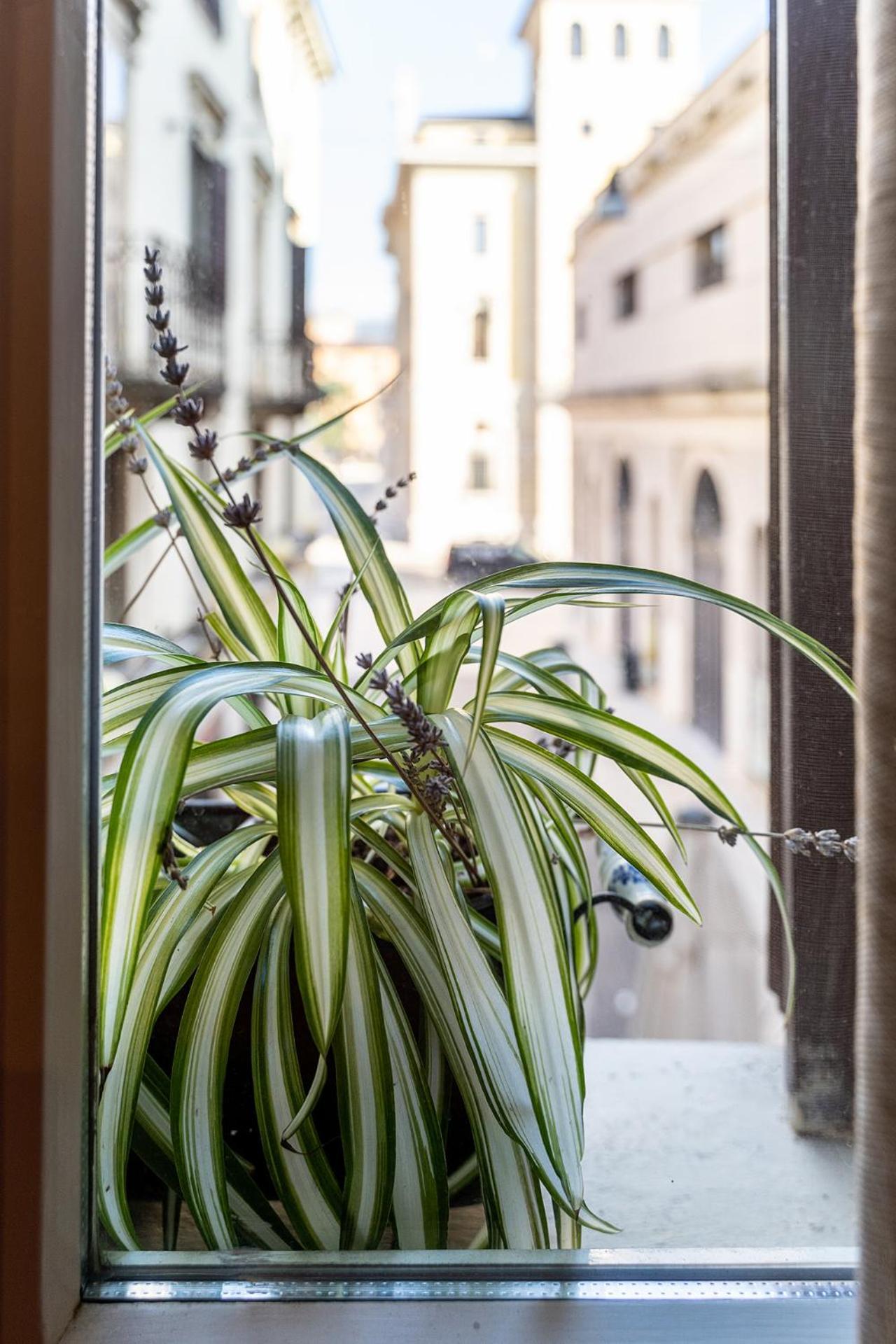 Apartament Dependance Cara Giulietta Werona Zewnętrze zdjęcie